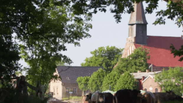 Urlaub auf Rügen Schaprode Kapitänsferienhaus