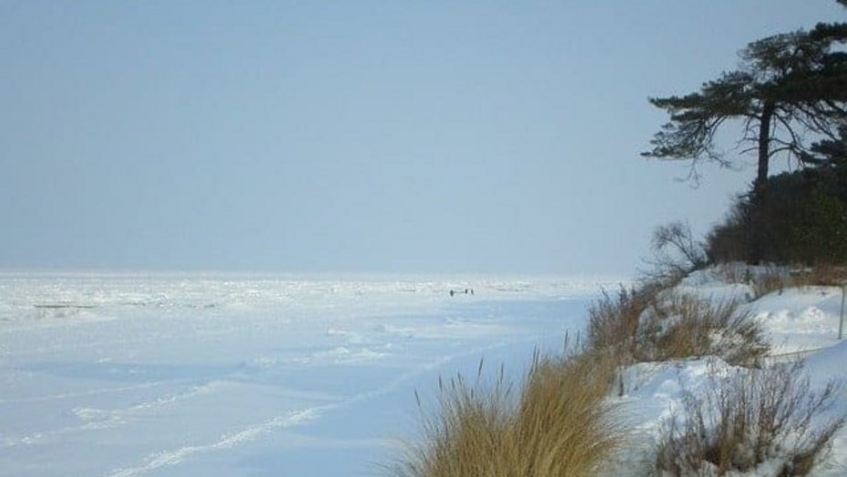 Rügen Urlaub Insel