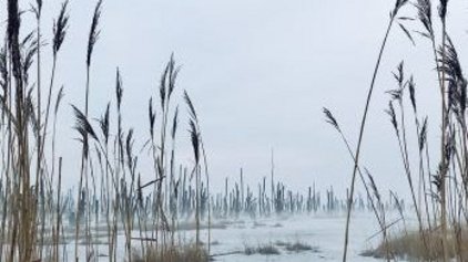 Urlaub auf Rügen