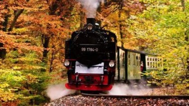 Urlaub auf Rügen Schaprode im Herbst Zug