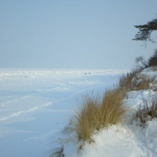 Urlaub auf Rügen Schaprode im Winter