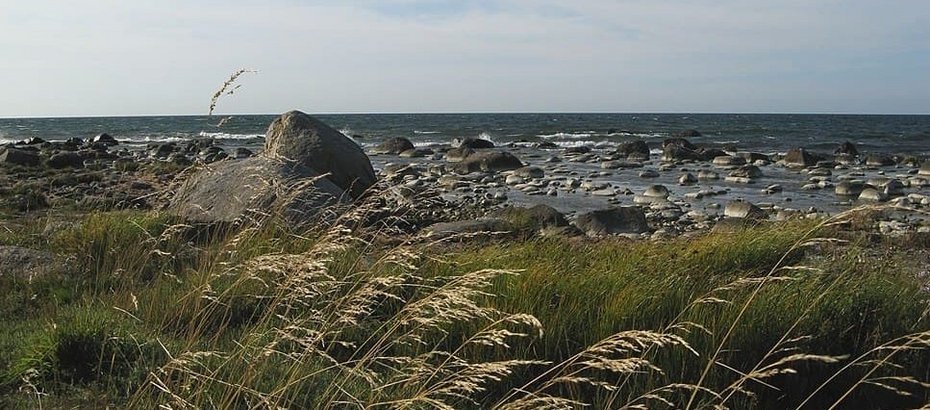 Urlaub auf Rügen Schaprode Panorama