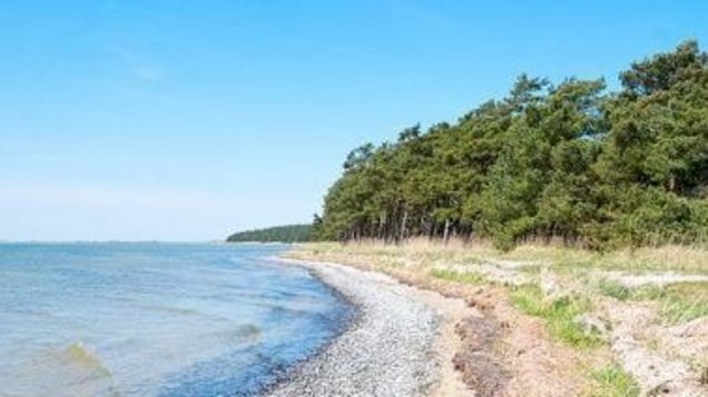 Urlaub auf Rügen