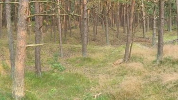 Urlaub auf Rügen