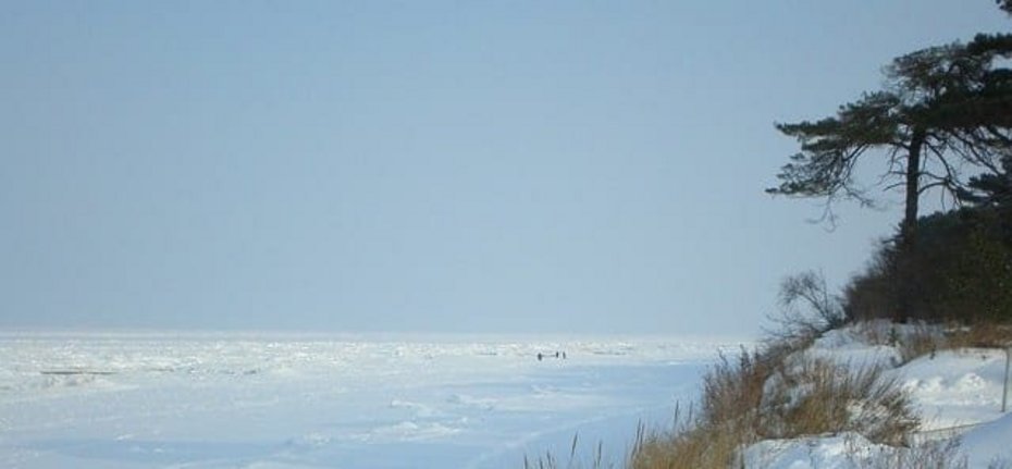 Urlaub auf Rügen Schaprode