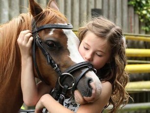 Urlaub auf Rügen Schaprode Reiten