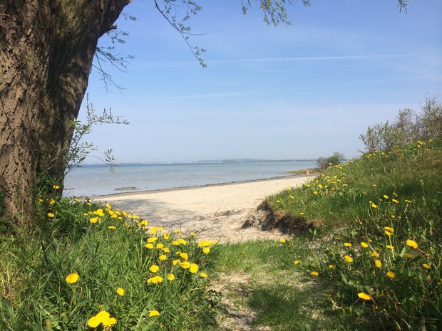 Ferienhaus Schaprode - Urlaub auf Rügen