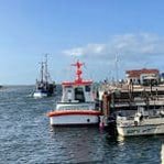 Ferienwohnung Rügen - Urlaub auf Rügen