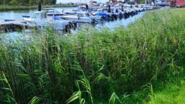 Urlaub auf Rügen Schaprode