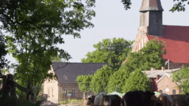 Urlaub auf Rügen Schaprode Kapitänsferienhaus