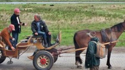 Urlaub auf Rügen Schaprode Kutsche