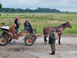 Urlaub auf Rügen Hiddensee