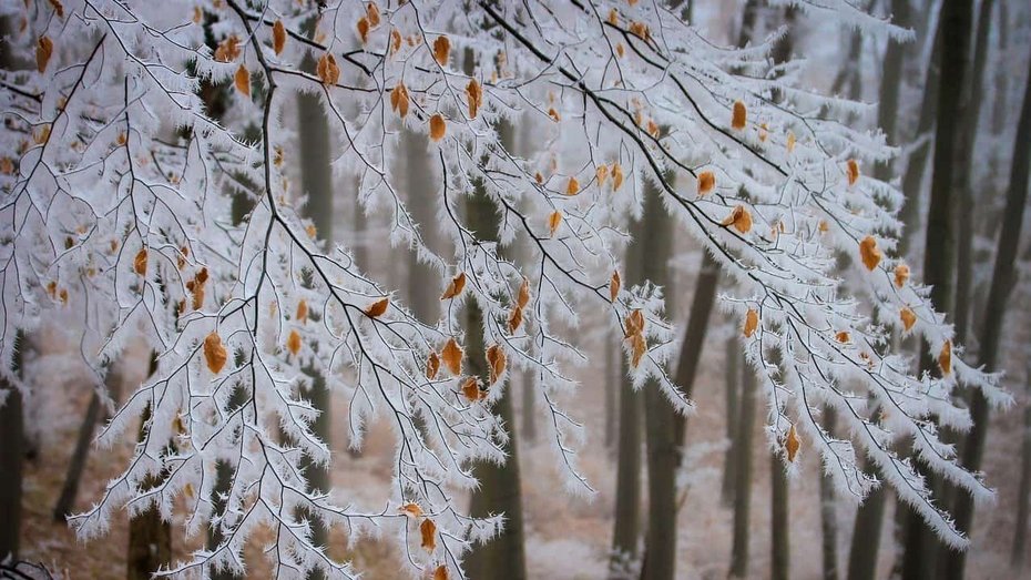 Urlaub auf Rügen Winterferien