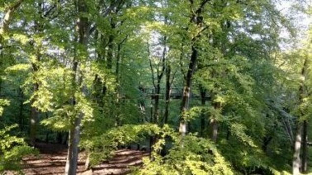 Urlaub auf Rügen Schaprode