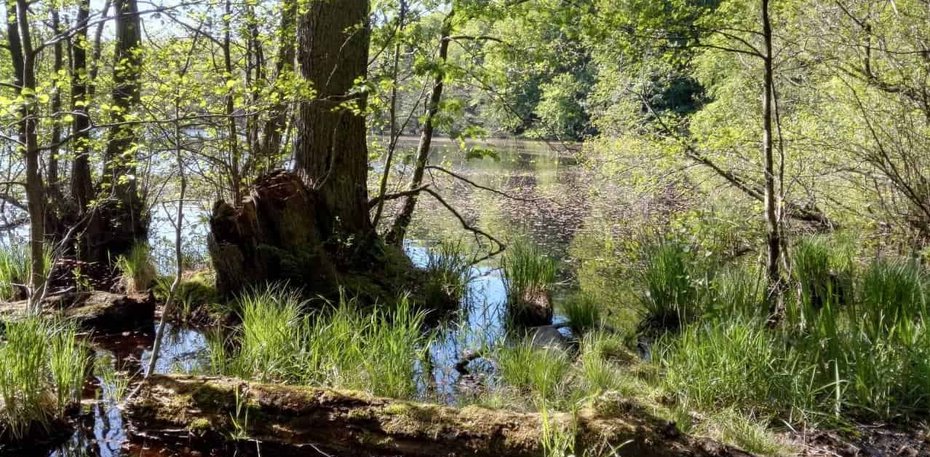 Urlaub auf Rügen in der Natur