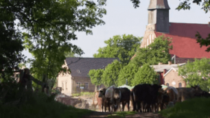 Urlaub auf Rügen Kapitänsferienhaus