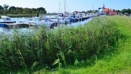 Rügen Urlaub Ferienwohnung Rügen