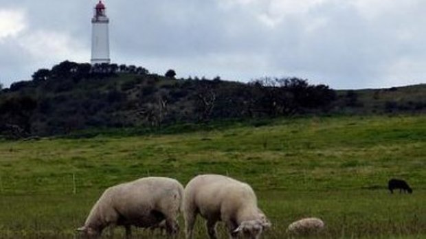 Urlaub auf Rügen