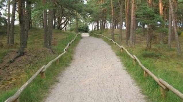 Urlaub auf Rügen Spazierweg zum Ufer