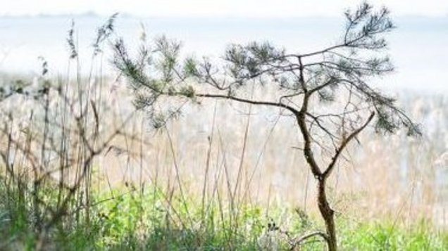 Urlaub auf Rügen