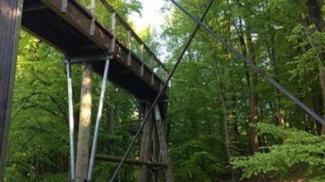 Urlaub auf Rügen Schaprode Wald