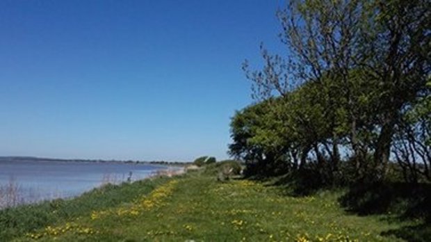 Urlaub auf Rügen